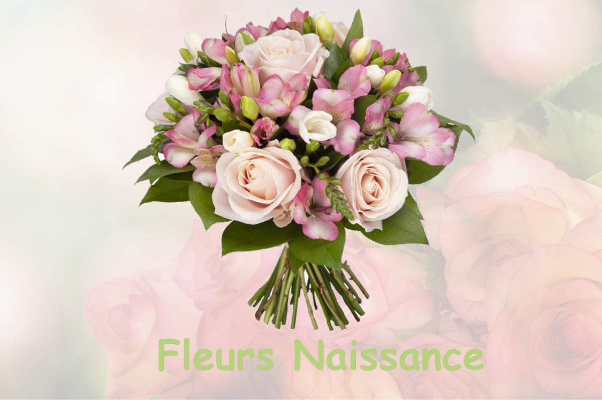 fleurs naissance MAREAU-AUX-PRES