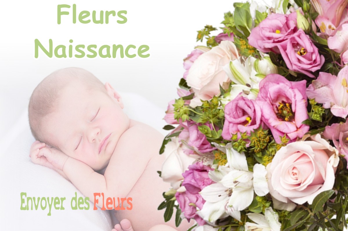 lIVRAISON FLEURS NAISSANCE à MAREAU-AUX-PRES